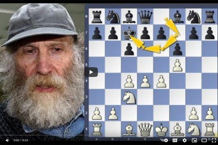 Bobby Fischer jugó ajedrez en línea?