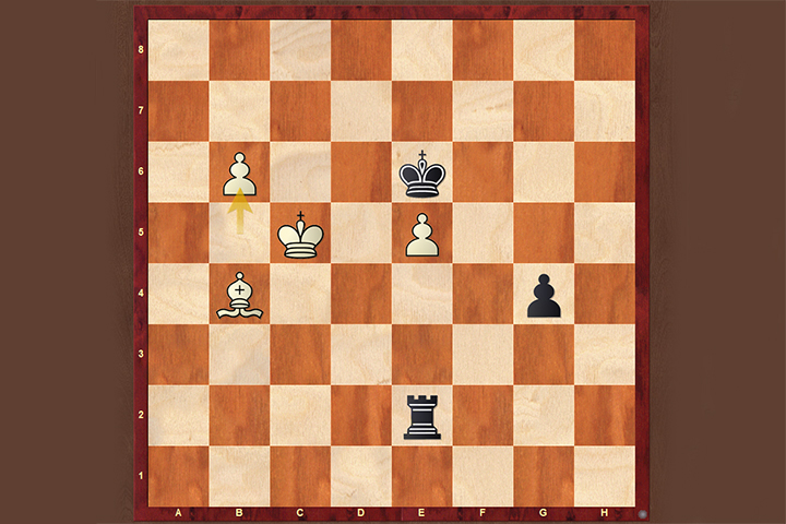 Coleção Alekhine - Mis mejores partidas 1 e 2