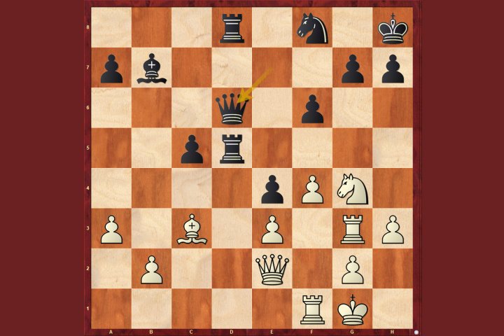 The Vienna Game with 3.f4 - Chess Opening Software on DVD